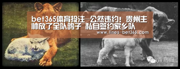 bet365体育投注-公然违约！贵州主帅放了全队鸽子 私自签