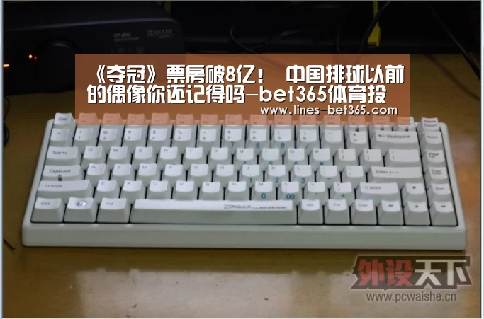 《夺冠》票房破8亿! 中国排球以前的偶像你还记得吗-bet365体育投注(图2) bet365体育投注
