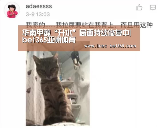 华南甲醇“升水”局面持续修复中|bet365亚洲体育(图2) bet365体育投注