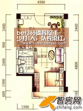 bet365体育投注