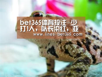 bet365体育投注