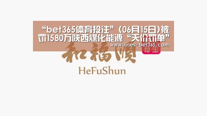 “bet365体育投注”(06月15日)被罚1580万陕西煤化能源“天价罚单”背后(图2) bet365体育投注